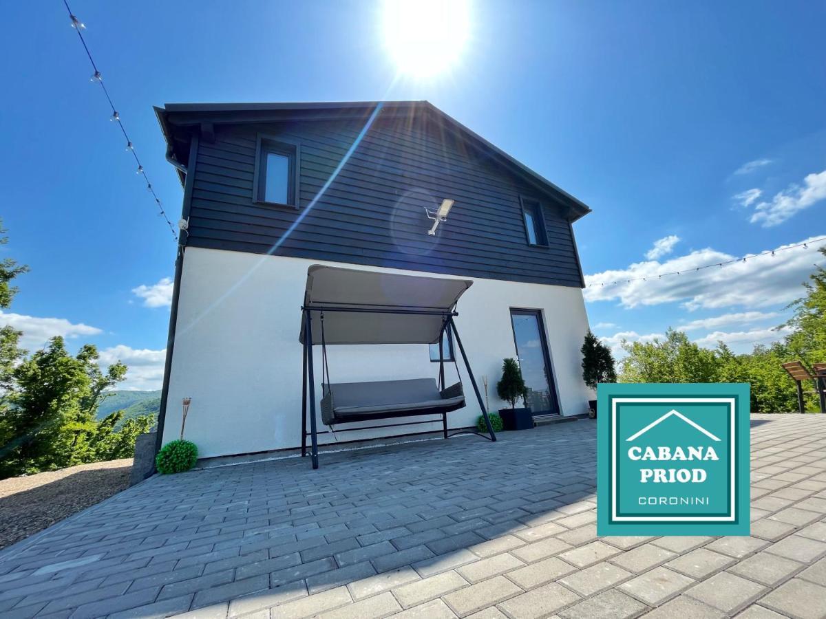 Cabana Priod Coronini Pescari Exterior foto