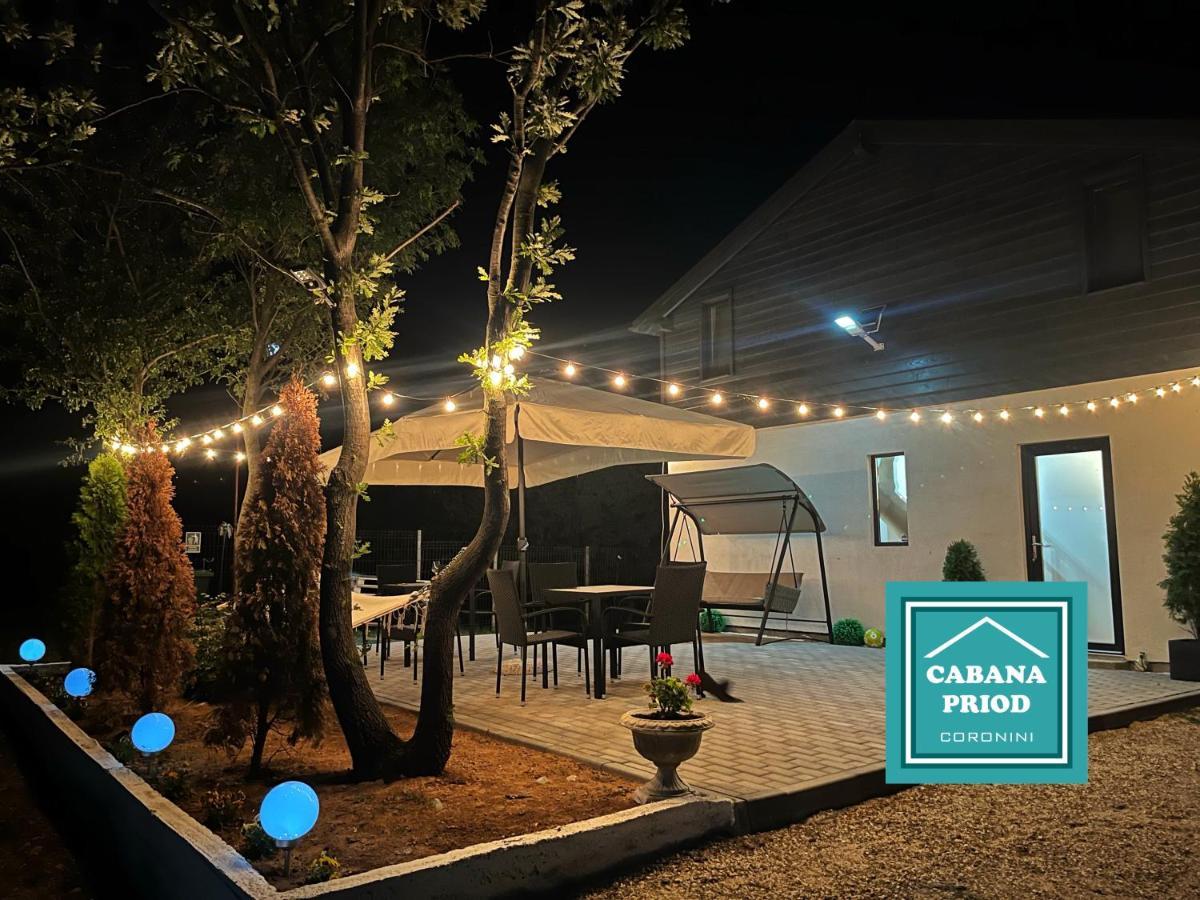 Cabana Priod Coronini Pescari Exterior foto