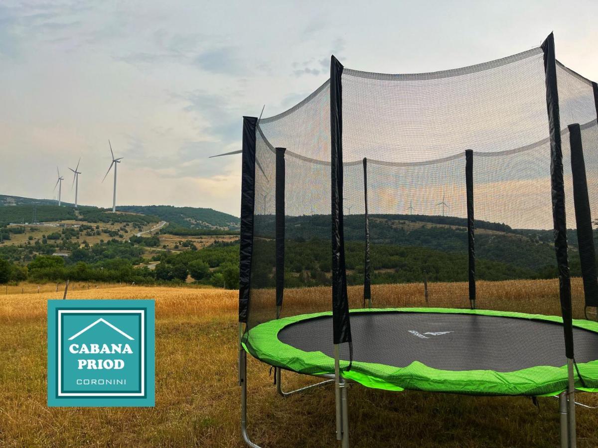 Cabana Priod Coronini Pescari Exterior foto